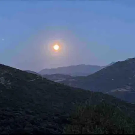 Familial Au Coeur Du Village D'olmeto Lägenhet