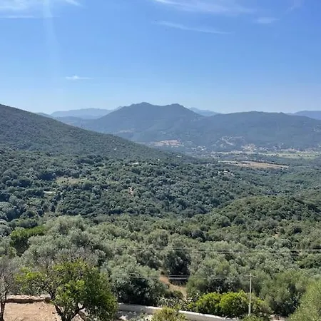 Lägenhet Familial Au Coeur Du Village D'olmeto Olmeto (Corsica)