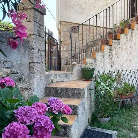 Familial Au Coeur Du Village D'olmeto Appartamento *